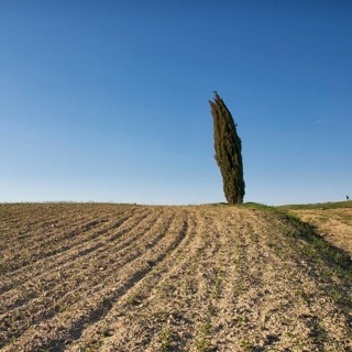 The Crete Senesi are one of the most famous areas of Tuscany