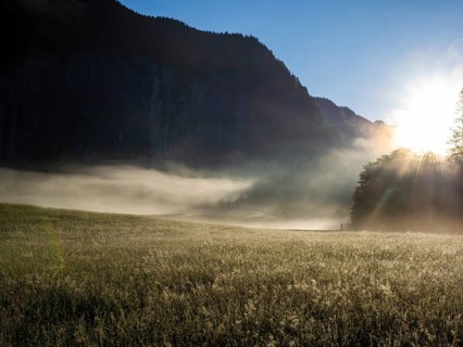 Early morning fog illuminated by the morning sun moves across a flower meadow, Gößler Wand, Gößl,