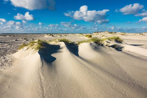 Landscape with dunes on the island of Amrum