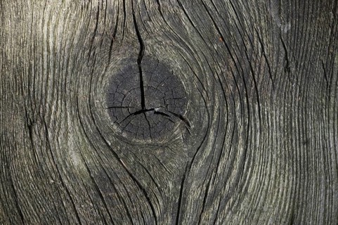 Detailed view of a piece of aged wood with a gray-brown coloration that emphasizes its natural