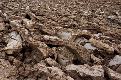 Ploughed field, clods of earth