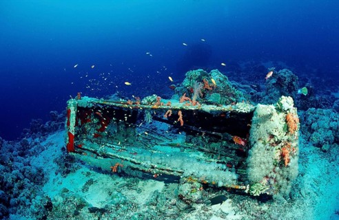 Jacque Cousteau's shark cage, Sudan, Africa, Red Sea, Shaab Rhumi, Africa