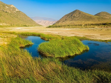 Landscape in Oman, mountains, Wadi Ashawq, road, reeds, waters Salalah, Al Mughsyal / Wadi Ashawq,