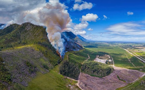 Landscape in South Africa, forest fire, fire, smoke, flames, burning forest, N2, Kou-Kamma Ward 6,