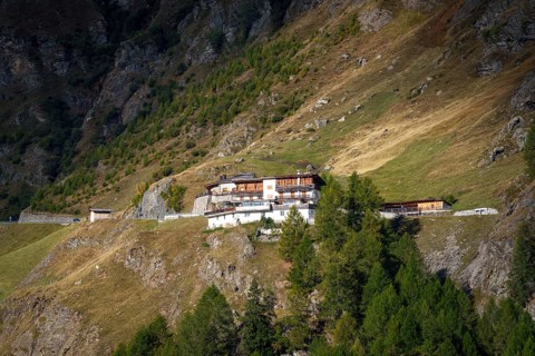 Mountain hut on a grassy slope, surrounded by forest and mountains, sunny day, moss in Passeier,