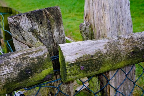 Close-up of a rustic wooden fence with moss and metal wire in a rural landscape