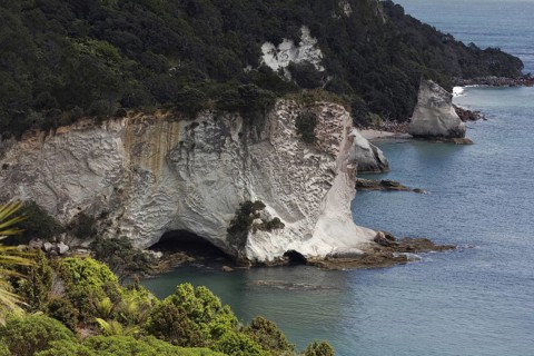 Coromandel Peninsula, New Zealand, Oceania