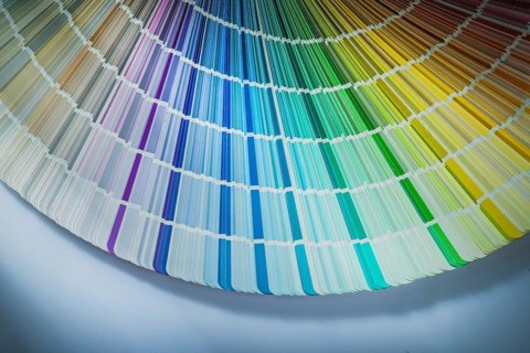 Colour palette on a white background