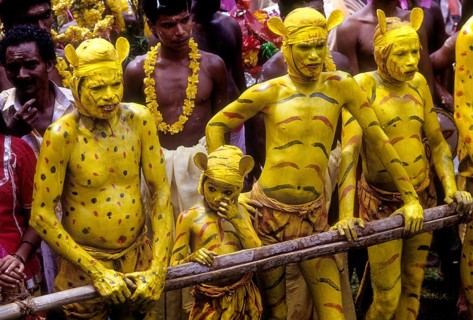 Puli Kali tiger dancers in Atham festival at Thrippunithura Tripunithuranear Ernakulam, Kerala,