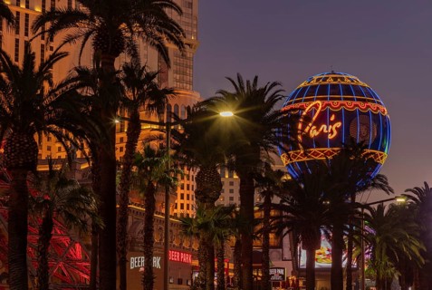 A picture of the Paris Las Vegas Balloon Sign and the nearby palm trees at sunset