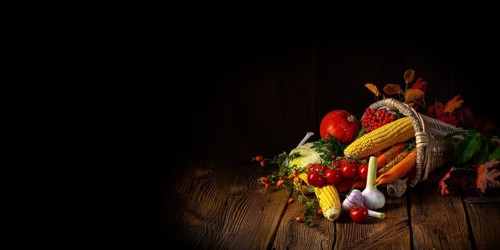 The beautiful autumn cornucopia with vegetables