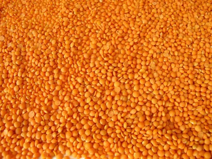 Spread the red lentils over a wooden board