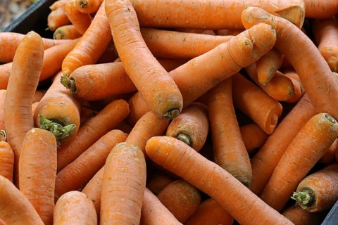 Carrots