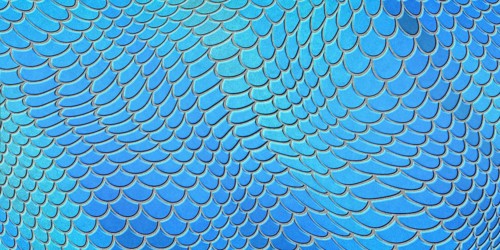 Blue mermaid scales, fish scale, Fantasy texture