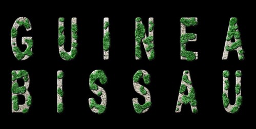 Guinea Bissau Reforestation and Climate Message, Sustainable Green Typography, Green Agenda