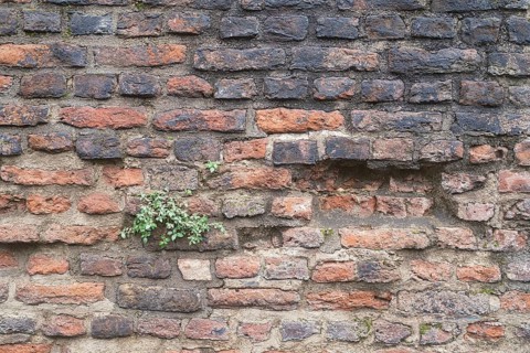 Old Roman city wall in Cologne, close-up, Cologne, Germany, Europe