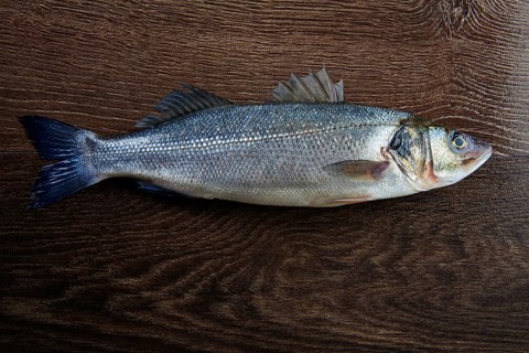 Seabass fresh fish on a dark wooden background