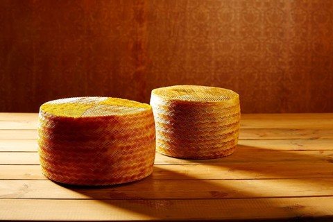 Manchego cheese from Spain in wooden table two whole pieces