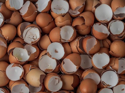 Empty egg shells stacked up