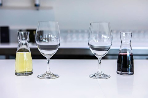Two empty wine glasses and a pair of small decanters filled with white and red wines, taste