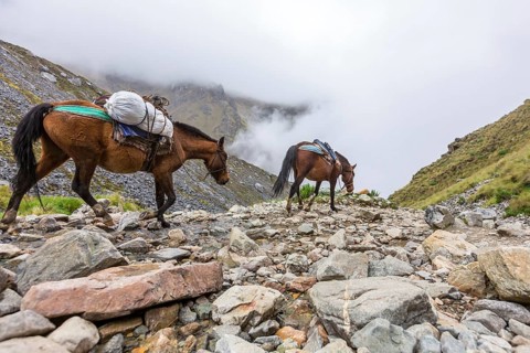 Salkantay Trekking in Peru, South America
