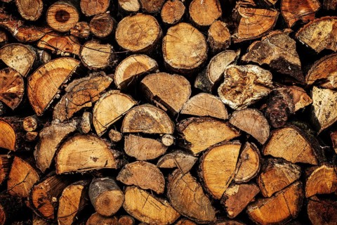 Stacked Pile of dry Firewood Logs Background