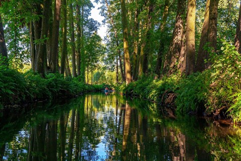 Spreewald