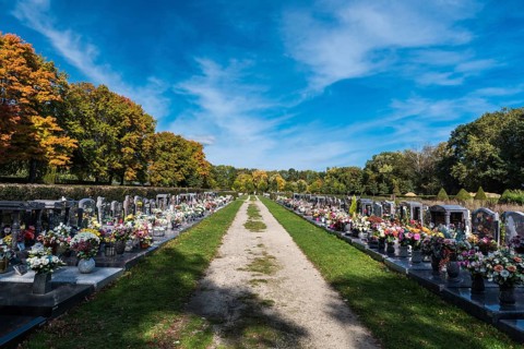 Anderlecht, Brussels, Belgium, 10 11 2018: Decorated grave yards on a cemetery against blue sky,