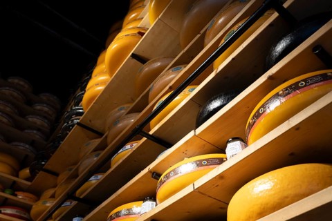 Typical dutch cheese, Amsterdam, Netherlands