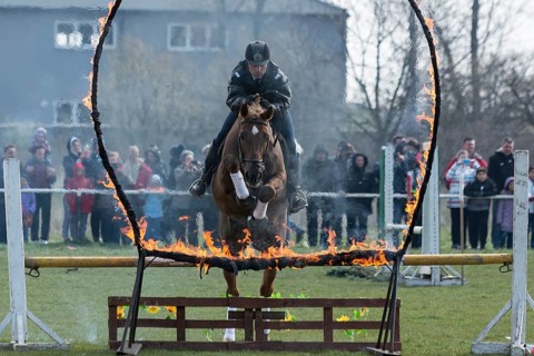 Sofia, Bulgaria - March 19, 2016: A policeman from Horse police unit in jumping with his horse