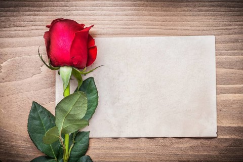 Blank sheet of paper and red rosebud on wooden board