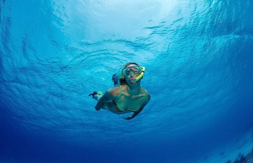 Snorkelling, Netherlands Antilles, Bonaire, Caribbean, Caribbean Sea