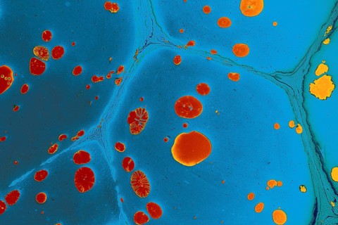 Beautiful abstract art of Ebru marbling painting techniques on water with paints
