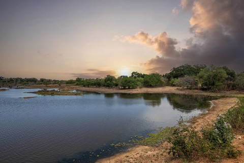 The oldest nature reserve in a fantastic landscape. Natural surroundings in the morning at sunrise.