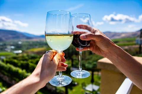 Happy couple hands cheering red and white wine glasses from a winery tasting room terrace against