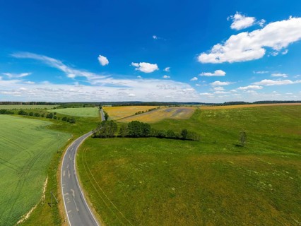 Aerial view of flowering meadows and fields