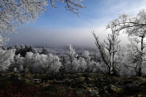 View from the summit ridge of the Mörschieder Burr in the Hunsrück-Hochwald National Park with