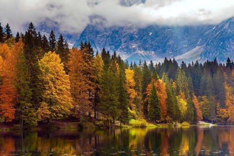 Magnificent colors of autumn. Orange and yellow trees are reflected in the green smooth water. The