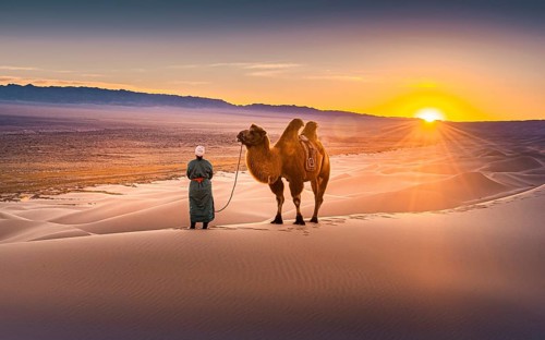 Sunrise n the Gobi desert