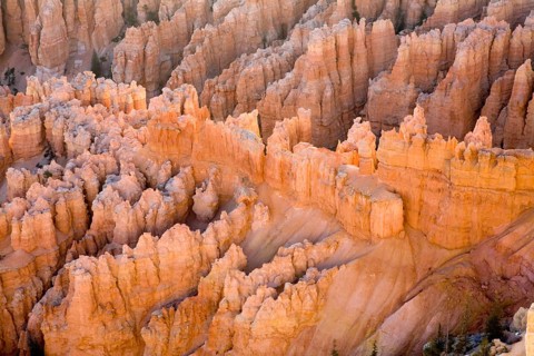 Hoodoos, pillar of rocks made by erosion at Bryce Canyon national park, U.S.A. United States of