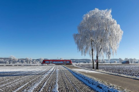 Red train travelling through a snow-covered field past an icy tree, hoarfrost in Unterallgäu,