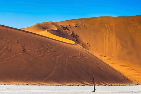 Namib-Naukluft National Park. Orange-gold sand dunes around the dried up lake. On the crest of the