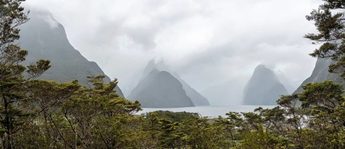 Magnificent panoramic view of Milford Sound during rainy weather, South Island of New Zealand