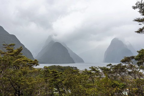 Magnificent panoramic view of Milford Sound during rainy weather, South Island of New Zealand