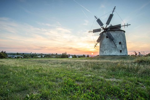 Windmill with wooden sails in a landscape with fields. Meadows and flowers appear in the sunset.