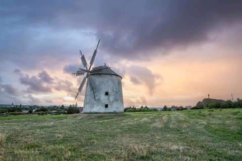 Windmill with wooden sails in a landscape with fields. Meadows and flowers appear in the sunset.
