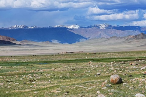 Mongolian landscape with mountain steppe with ger and herd of horses, sheep and cow. Western