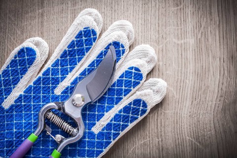 Steel garden pruner with rubber protective gloves on wood board agriculture concept