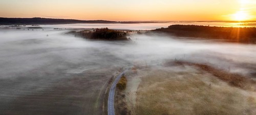 Harz landscape in the fog autumn mood