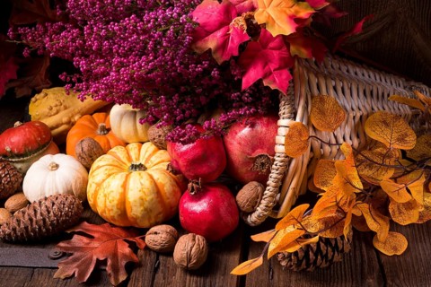 Cornucopia